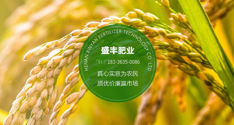 河南j9国际站肥业科技有限公司【官网】