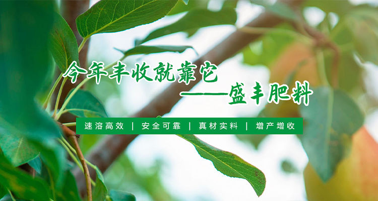 河南j9国际站肥业科技有限公司【官网】